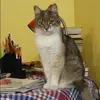 Отзыв от Клавдия Жилина